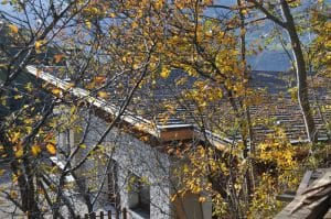 Chalet exterieur vue arbre Chalet exterieur vue arbre